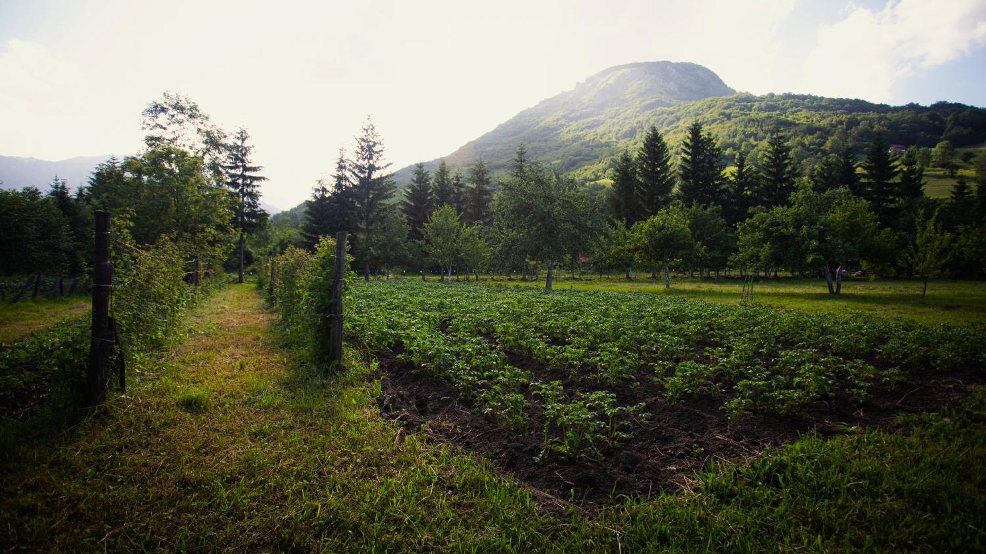 Ethno Village Stitarica Mojkovac Exterior photo