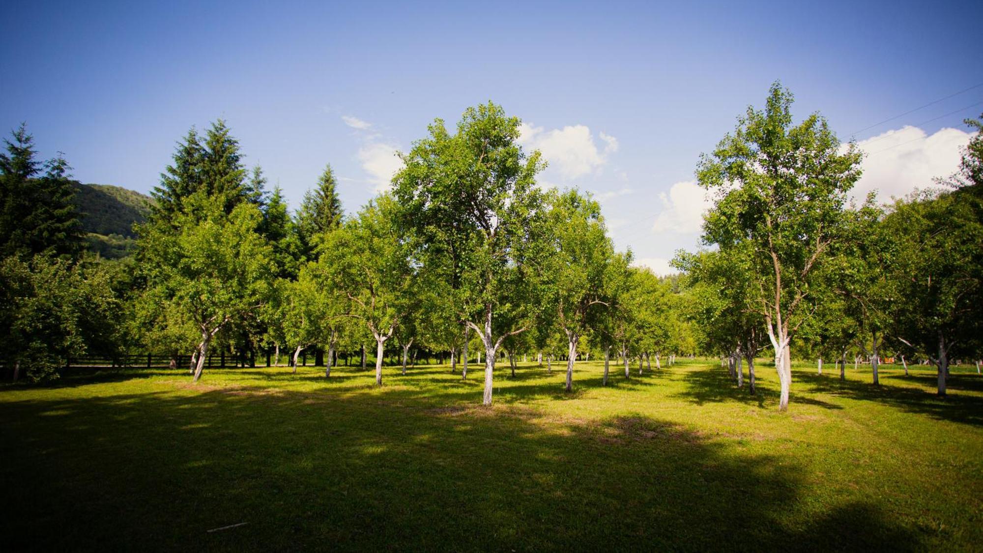 Ethno Village Stitarica Mojkovac Exterior photo