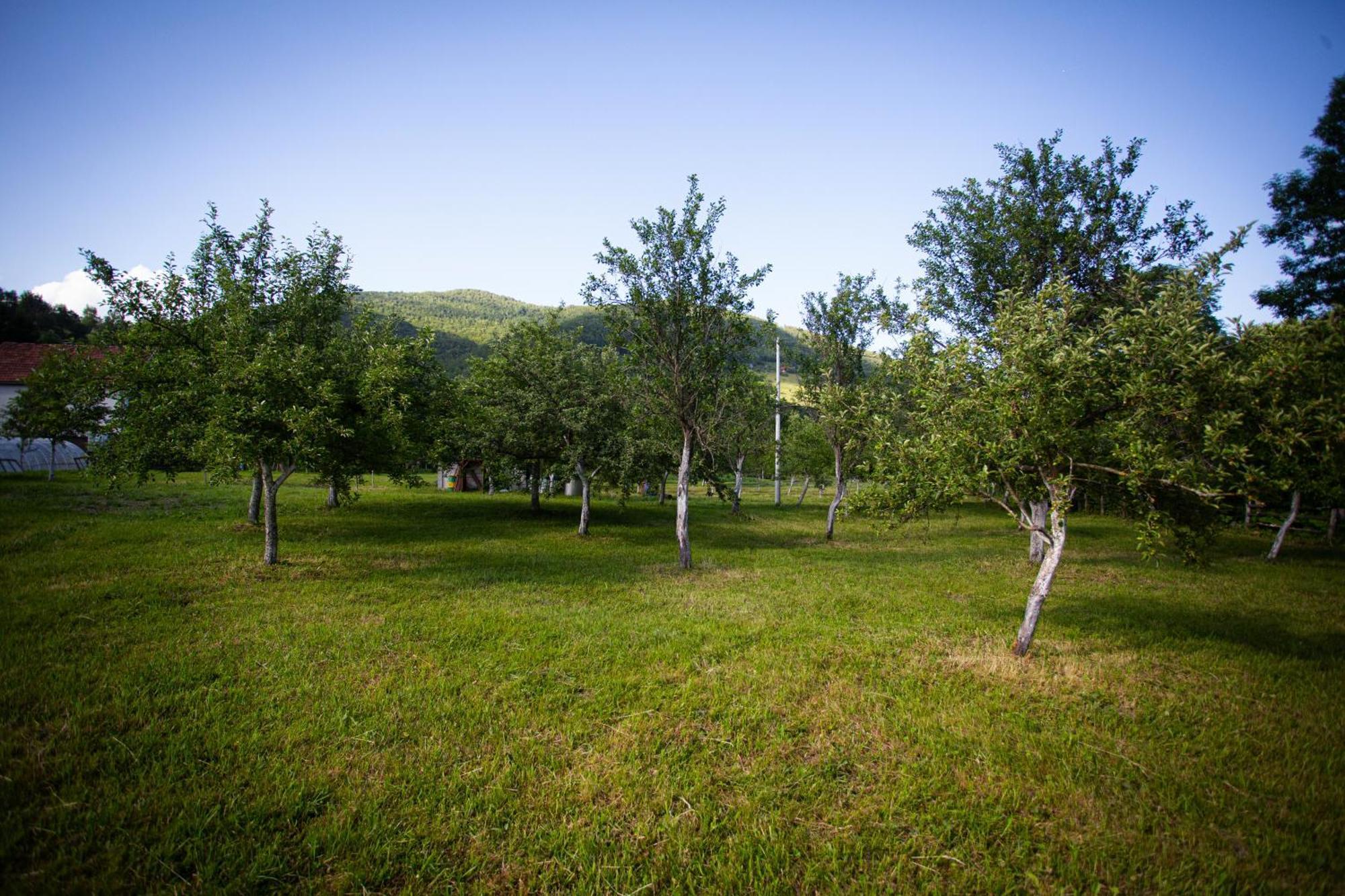 Ethno Village Stitarica Mojkovac Exterior photo